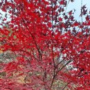 도덕산공원 이미지