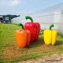 파프리카 조형물 이미지