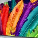 원대로-4 | [최저가] 100만원대로 150인치 영화관을 거실에? 4K 빔프로젝터 끝판왕 후기! (feat. 스마트TV 기능)