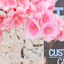 다미살롱 이미지