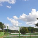 영강체육공원 족구장 이미지