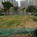 소로3-117 이미지