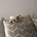 경서약국 이미지