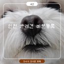 학익1동행정복지센터 다목적실 | 인천 반려견 비문등록 무료! 강아지 코무늬 등록 방법·장소·일정