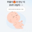 태동푸드하우스 | [임신] 임신 33-37주차/임산부스트레칭/출산가방/산전마사지/빨래공장/시공매트/막달검사/막달붓기/양막...