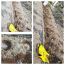 호박골농장 이미지