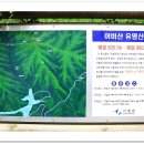가든그룹 이미지
