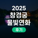 물빛기술 | 2025 창경궁 물빛연화 후기 | 밤의 궁궐을 빛으로 물들이다