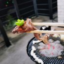 담양버치