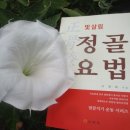 빛살림정골요법