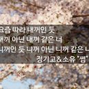 썸앤정 이미지