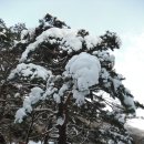 구천동농산 이미지