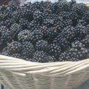 민지네 농장 이미지