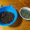 선애황토방 이미지