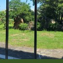 오로라 하우스(Aurora house) 이미지