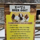애니멀스토리