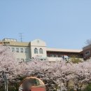 토고래디저트샵 이미지