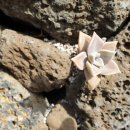 밧돌 펜션 하우스 | (게스트하우스 후기) 제주도 밧돌 게스트 &amp; 펜션