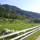 데일리목장 이미지