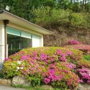 중원서로 이미지