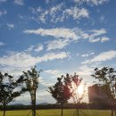 율하체육공원 잔디광장 이미지