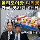 볼티모어항 다리붕괴 뜻밖의 이유, 한국 탓하던 中日 '화들짝' 이미지