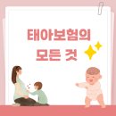 100세동안(수정점) | (내돈내산) 현대해상 태아보험 가입후기 / 태아보험 가입시기 등 태아보험의 모든것 !