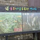 원주굽이길 17코스 동화마을진달래길 이미지