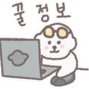 허니모모 애견미용실 이미지