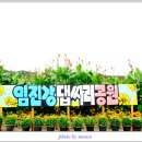 우산공원 주차장 이미지