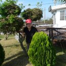 무안 톱 관광펜션 이미지