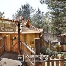 톰소여의 모험 이미지