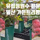 일산 유럽정원수 전문 가든트리팜 방문 후기
