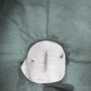 송파동물의료센터 이미지