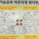 도림사계곡민박