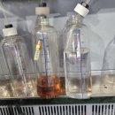 늘푸른자동차클리닉 이미지