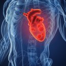 편한몸마취통증의학과의원 이미지