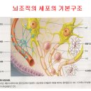(주)에덴셀