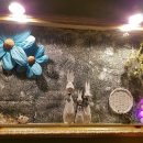 닉스 노래연습장 이미지