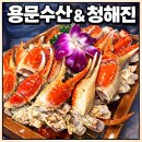 용문상인 | 노량진수산시장 🦀대게와🐟해산물 맛집에서 모임 (용문수산 & 청해진)