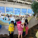 수정파크사우나 | [240101-0102] 아이랑 물놀이, 눈놀이 추천 평창 &#39;휘닉스파크&#39; 리조트 오렌지동 1박2일 솔직후기