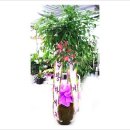 용강당구장 이미지