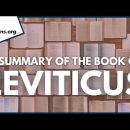 Summary of the Book of Leviticus 레위기 요약 이미지