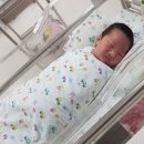 아워홈창원한마음 | [출산기록] 창원한마음병원 출산, 입원, 제왕절개 후기, 딱풀이의 탄생