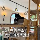 진산로 | 내돈내산 충남 금산 감성 숙소 그림이야기책펜션 B101호 솔직 후기
