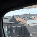 우리마트 오치점 | 25.03. 경주여행 | 실바니안, 미피스토어🤍🐰