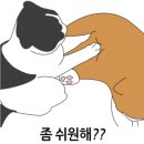 상록동물병원 이미지