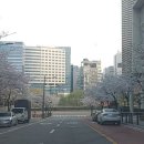 판교역로226번길 이미지