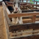 키즈다쿵2(부천점) 이미지