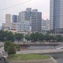 산호탕 이미지